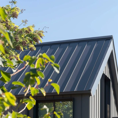 zinguerias mendoza capital